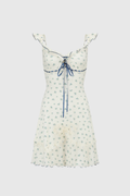 Desiderio Floral Mini Dress
