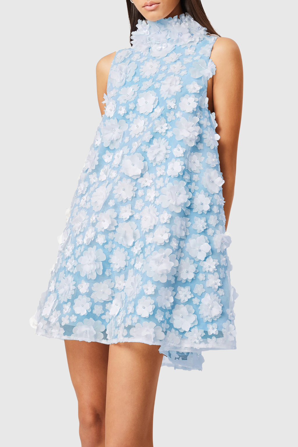 Hendya Floral Appliqu¨¦ Sleeveless Mini Dress - Blue