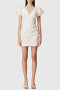 Kailee Butterfly Embroidered Mini Dress