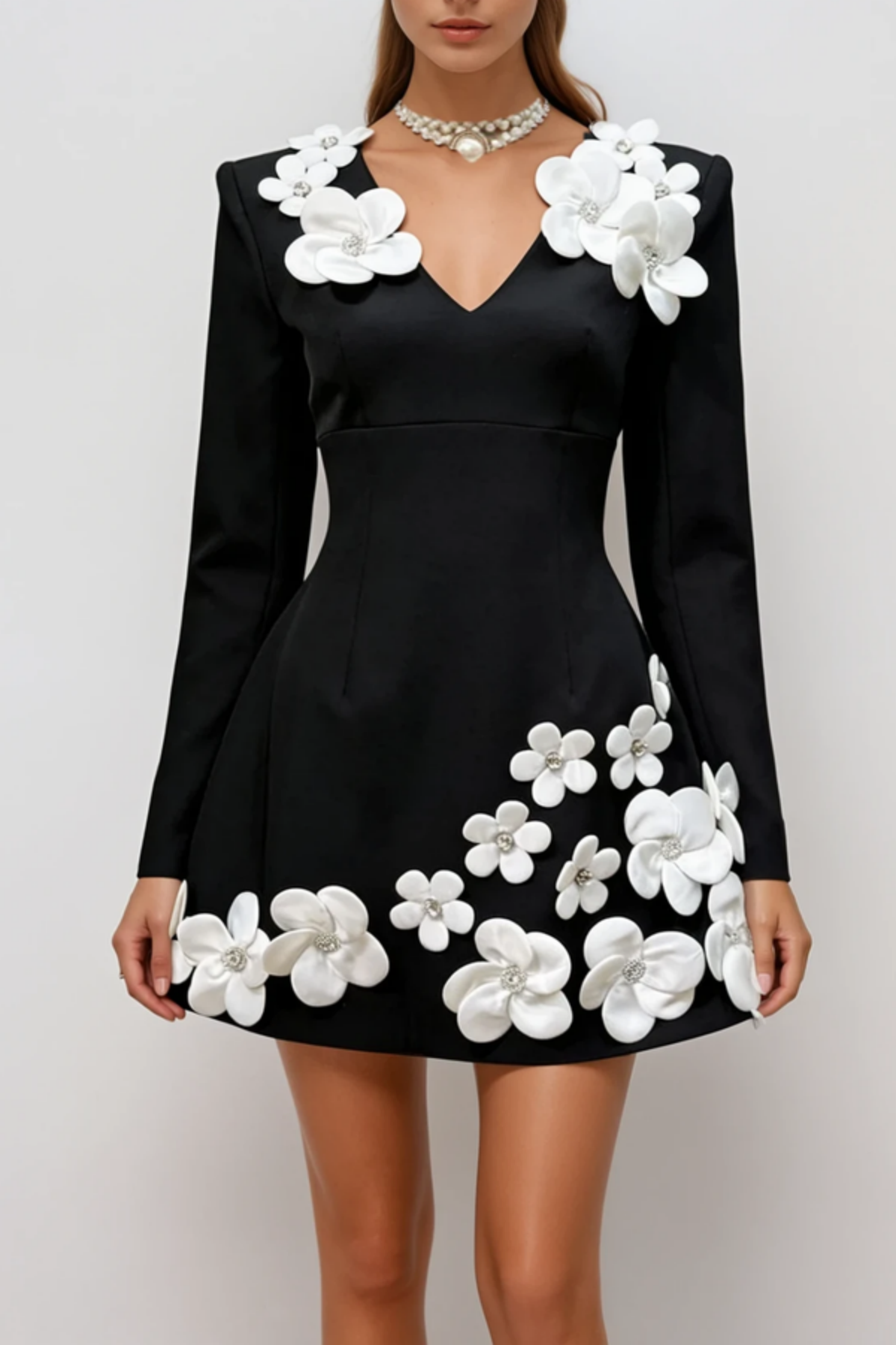 Kairo Floral Appliqu¨¦ Long Sleeve Mini Dress