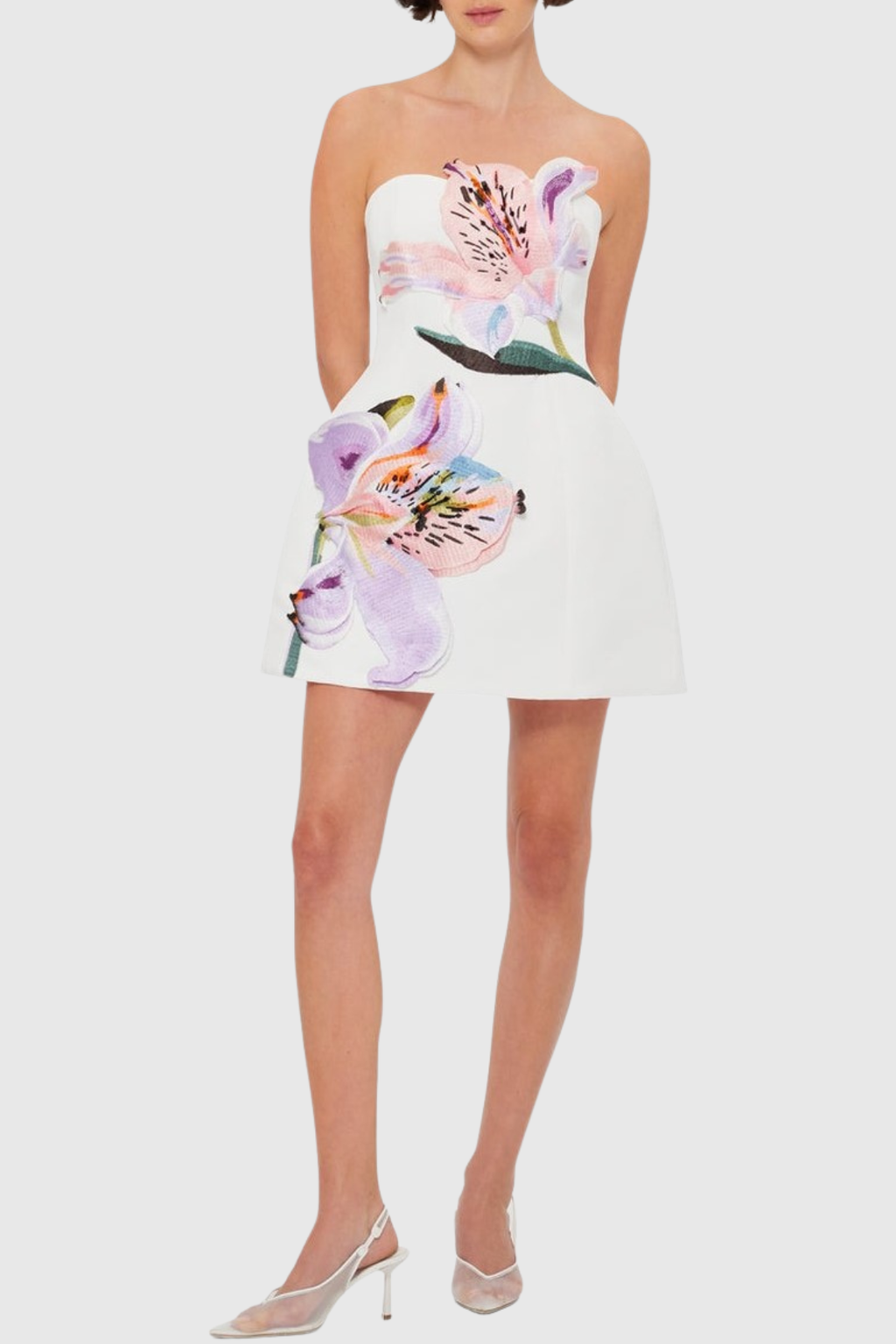 Mimoza Floral Appliqu¨¦ Strapless Mini Dress - White
