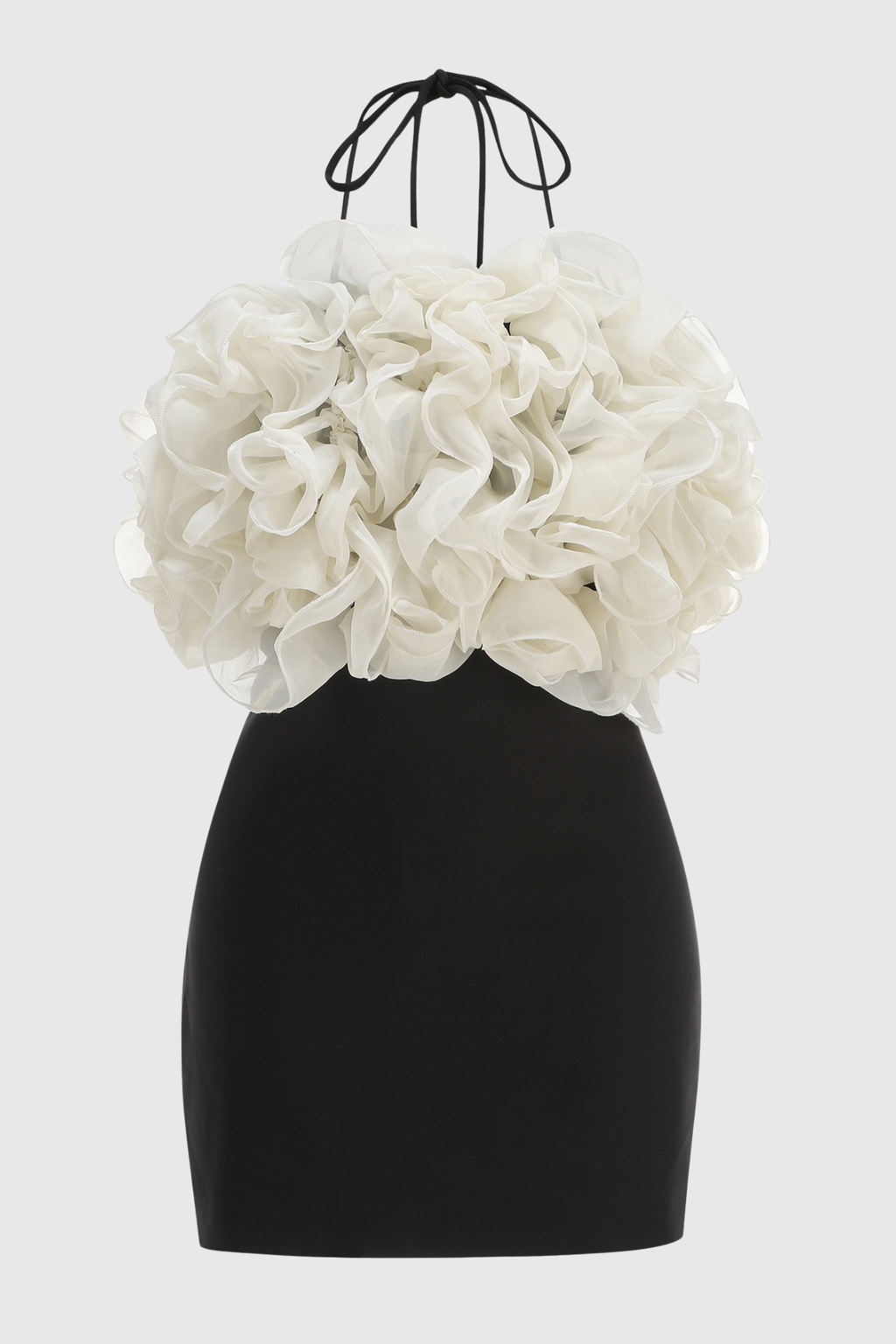 Vasco Floral Ruffle Mini Dress
